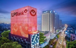 Cổ phiếu LPBank tăng trần, “cháy hàng” sau chuỗi giảm sâu