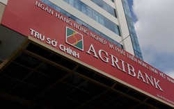 Agribank siết nợ công ty xây dựng, thu giữ một siêu thị tại Đà Lạt