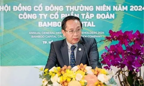Bamboo Capital có chủ tịch mới